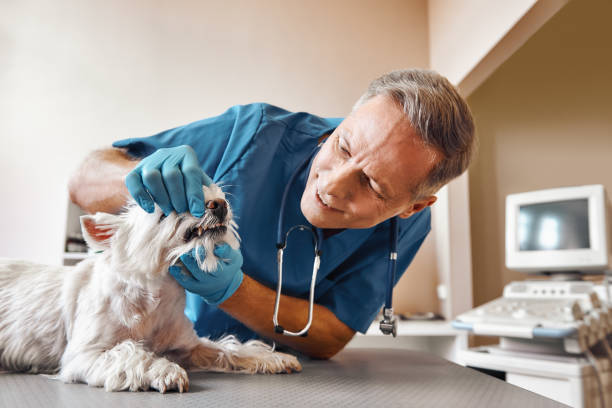 Best Emergency Root Canal Treatment in Unionville, TN